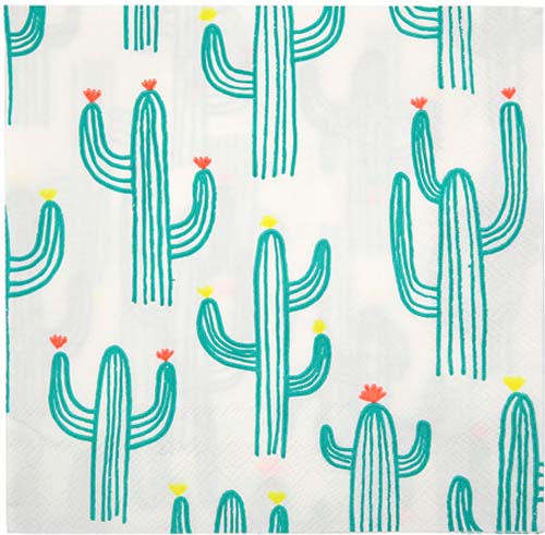 Meri Meri Cactus Paper Napkin - Lemonade Party Box