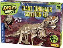 Load image into Gallery viewer, Giant Dinosaur Skeleton Kit (T-Rex)

