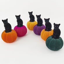 Load image into Gallery viewer, 14.5&quot; Flocked Cat on Pumpkin (Assorted Colours)
