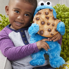Load image into Gallery viewer, Sesame Street Peekaboo Cookie Monster Talking 13-Inch Plush Toy for Toddlers (Hasbro) - Lemonade Party Box
