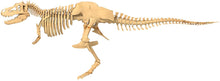 Load image into Gallery viewer, Giant Dinosaur Skeleton Kit (T-Rex)
