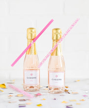 Load image into Gallery viewer, Pink Cheetah Reusable Straws - Lemonade Party Box
